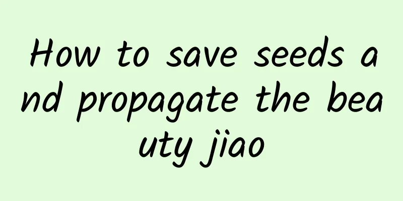 How to save seeds and propagate the beauty jiao