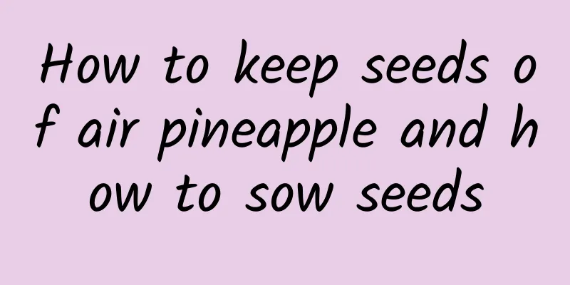 How to keep seeds of air pineapple and how to sow seeds