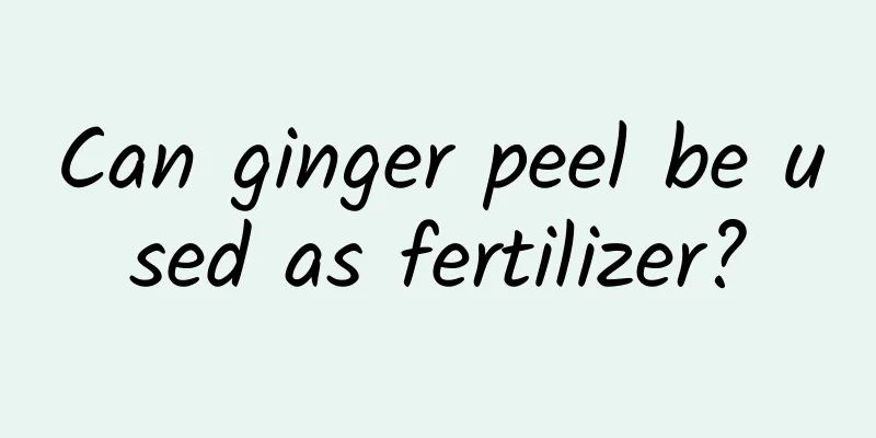 Can ginger peel be used as fertilizer?