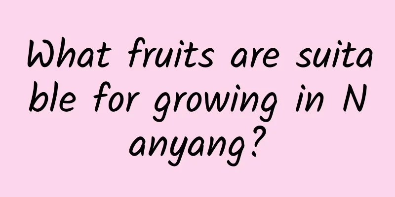 What fruits are suitable for growing in Nanyang?