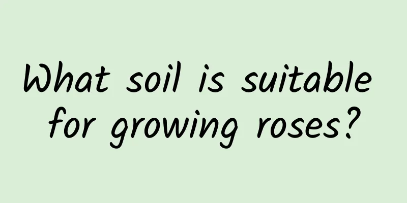 What soil is suitable for growing roses?