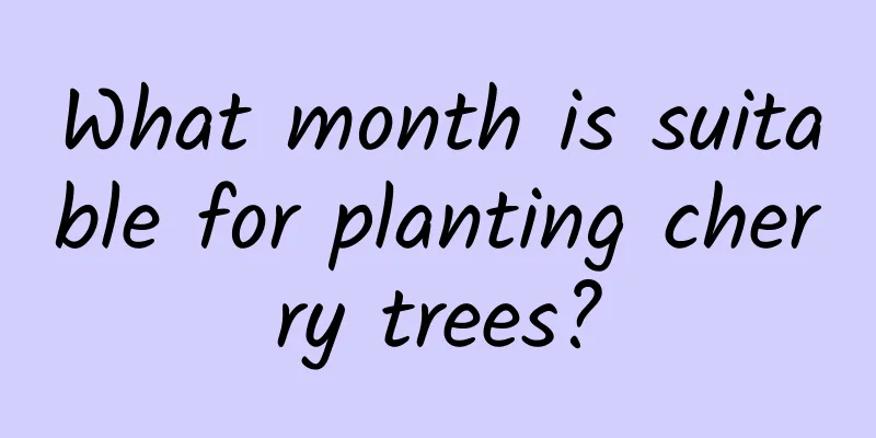 What month is suitable for planting cherry trees?