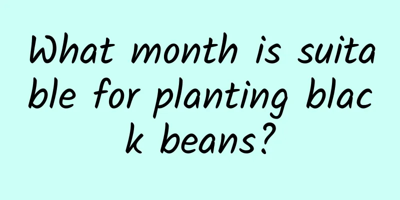 What month is suitable for planting black beans?