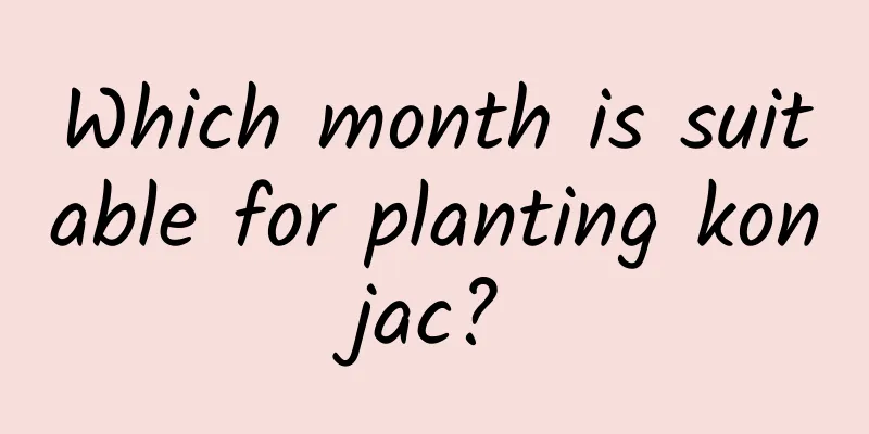 Which month is suitable for planting konjac?