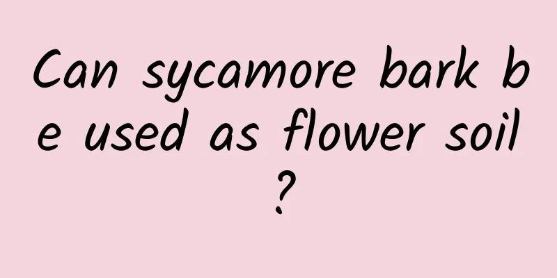 Can sycamore bark be used as flower soil?