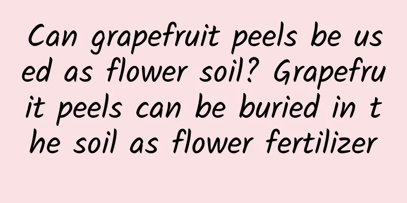 Can grapefruit peels be used as flower soil? Grapefruit peels can be buried in the soil as flower fertilizer