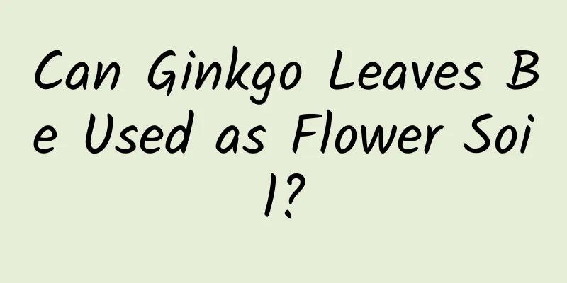 Can Ginkgo Leaves Be Used as Flower Soil?