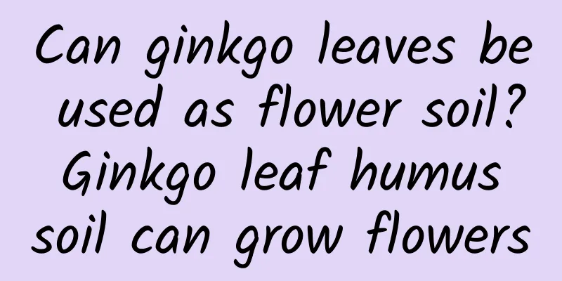 Can ginkgo leaves be used as flower soil? Ginkgo leaf humus soil can grow flowers