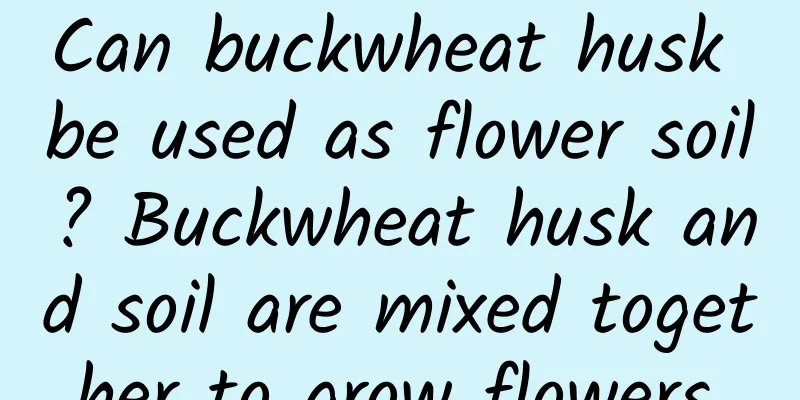 Can buckwheat husk be used as flower soil? Buckwheat husk and soil are mixed together to grow flowers.