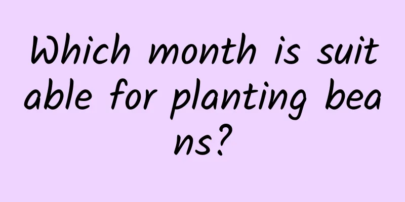 Which month is suitable for planting beans?