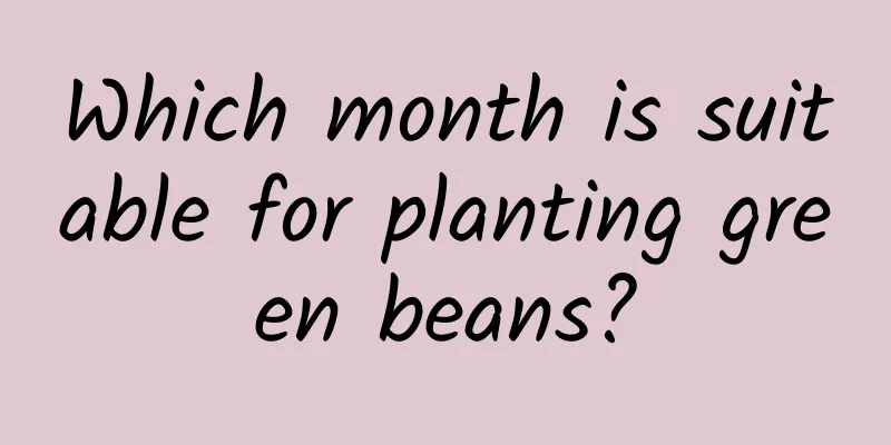 Which month is suitable for planting green beans?