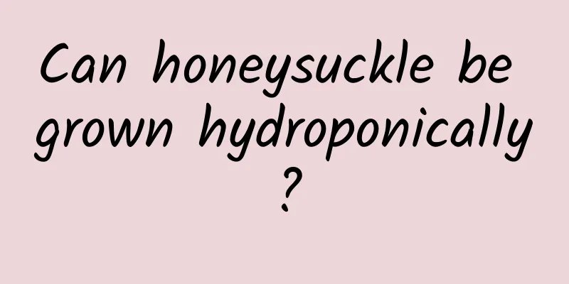 Can honeysuckle be grown hydroponically?