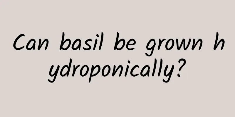 Can basil be grown hydroponically?