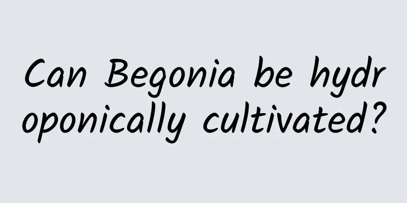 Can Begonia be hydroponically cultivated?