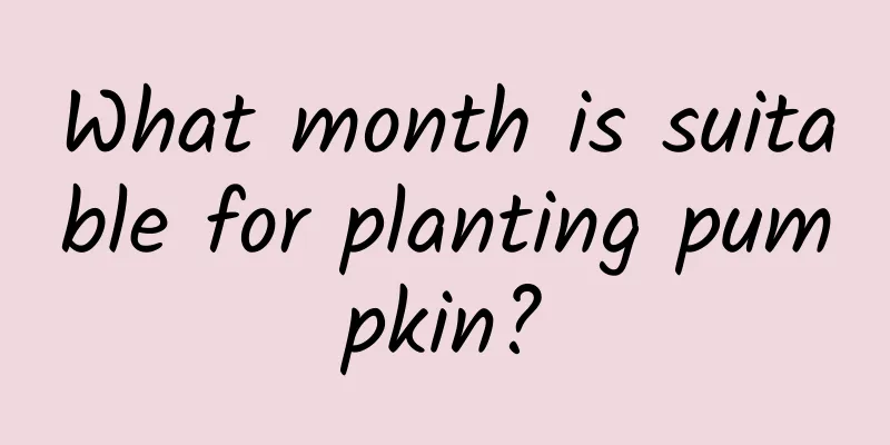 What month is suitable for planting pumpkin?