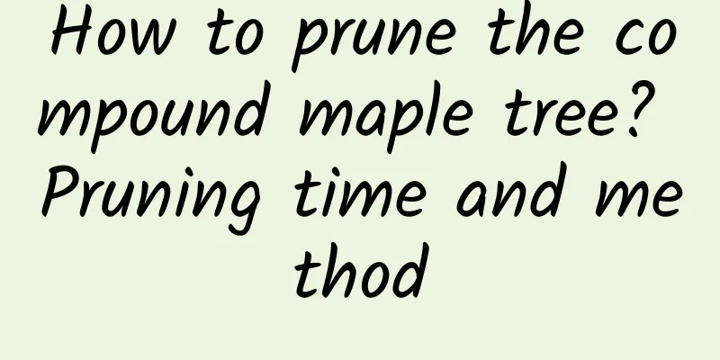 How to prune the compound maple tree? Pruning time and method
