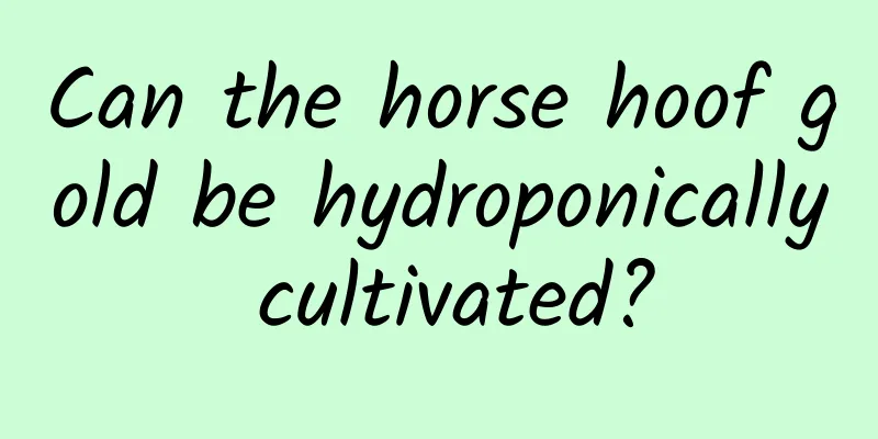 Can the horse hoof gold be hydroponically cultivated?