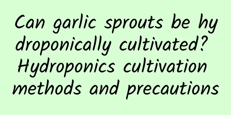 Can garlic sprouts be hydroponically cultivated? Hydroponics cultivation methods and precautions