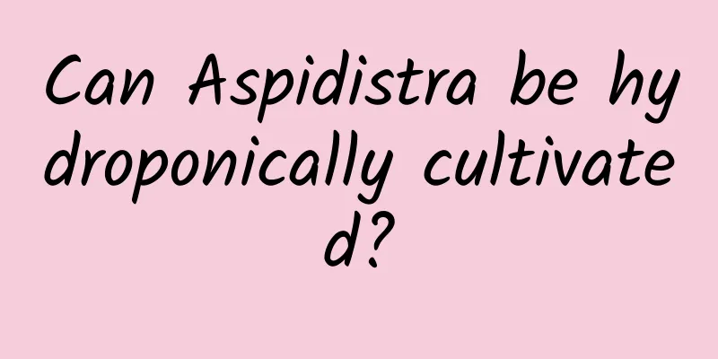 Can Aspidistra be hydroponically cultivated?