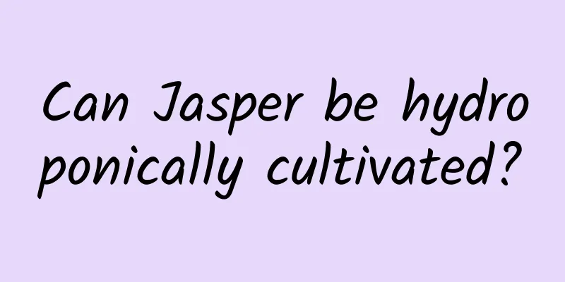 Can Jasper be hydroponically cultivated?