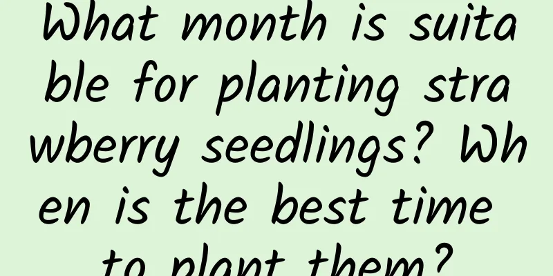 What month is suitable for planting strawberry seedlings? When is the best time to plant them?