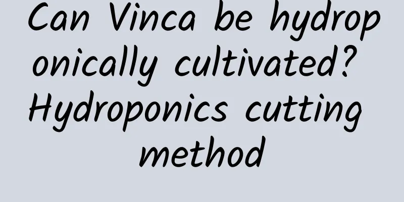 Can Vinca be hydroponically cultivated? Hydroponics cutting method