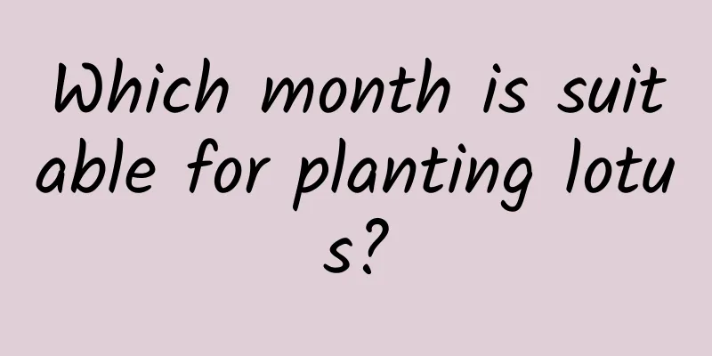 Which month is suitable for planting lotus?