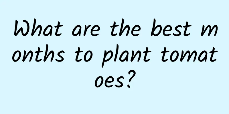 What are the best months to plant tomatoes?