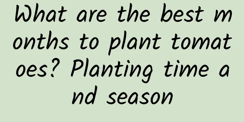 What are the best months to plant tomatoes? Planting time and season