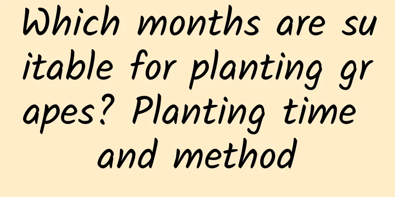 Which months are suitable for planting grapes? Planting time and method