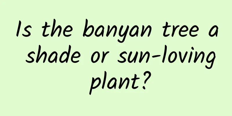 Is the banyan tree a shade or sun-loving plant?