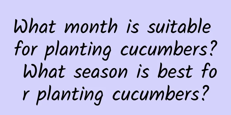 What month is suitable for planting cucumbers? What season is best for planting cucumbers?