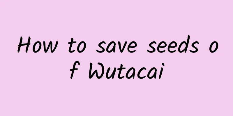 How to save seeds of Wutacai