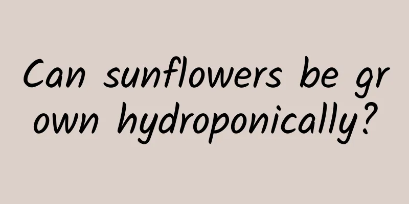 Can sunflowers be grown hydroponically?