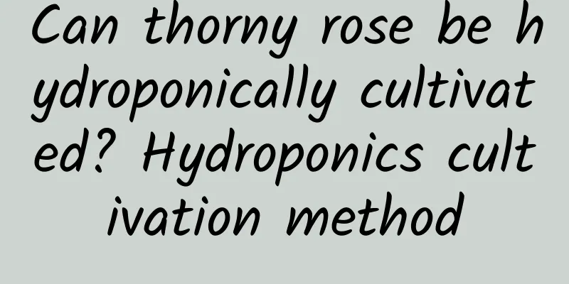 Can thorny rose be hydroponically cultivated? Hydroponics cultivation method