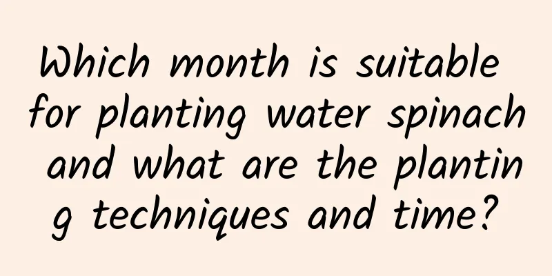 Which month is suitable for planting water spinach and what are the planting techniques and time?