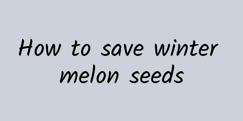 How to save winter melon seeds
