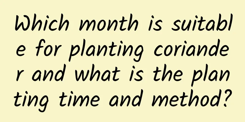 Which month is suitable for planting coriander and what is the planting time and method?