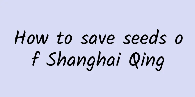 How to save seeds of Shanghai Qing