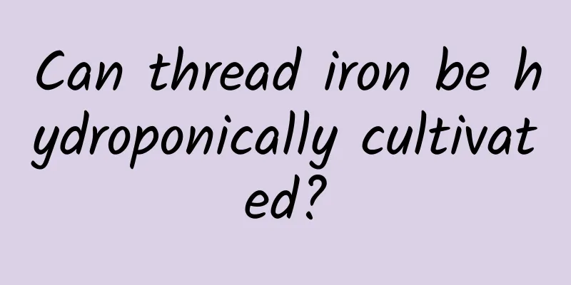 Can thread iron be hydroponically cultivated?