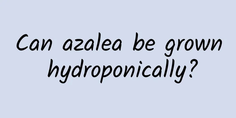 Can azalea be grown hydroponically?