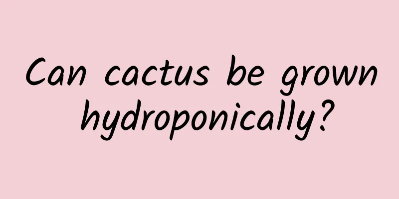 Can cactus be grown hydroponically?