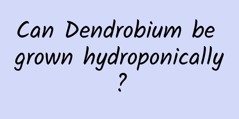 Can Dendrobium be grown hydroponically?
