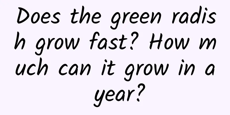 Does the green radish grow fast? How much can it grow in a year?