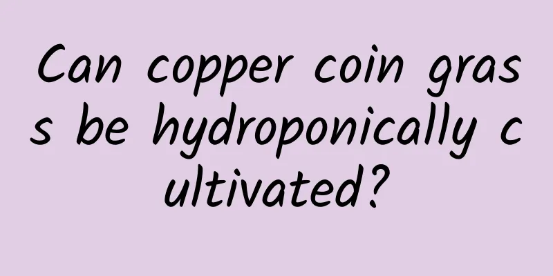 Can copper coin grass be hydroponically cultivated?