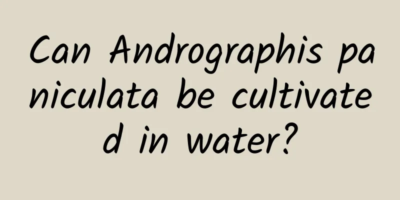 Can Andrographis paniculata be cultivated in water?
