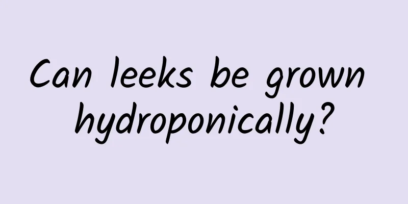 Can leeks be grown hydroponically?