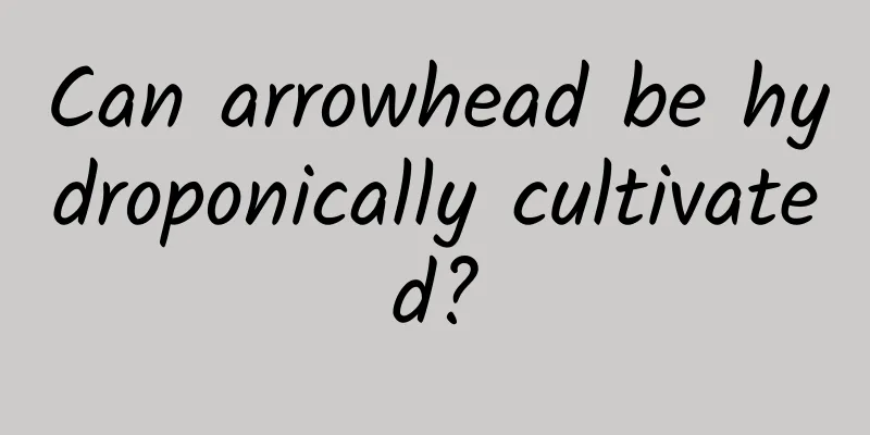 Can arrowhead be hydroponically cultivated?