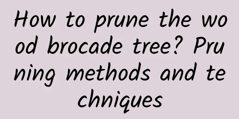 How to prune the wood brocade tree? Pruning methods and techniques
