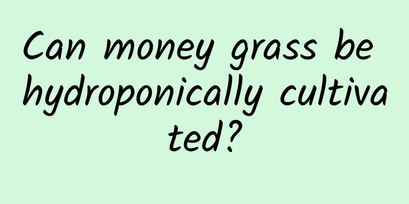 Can money grass be hydroponically cultivated?